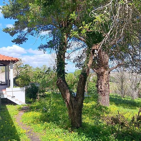Quintinha A 35Min De Lisboa Villa Mafra Eksteriør bilde