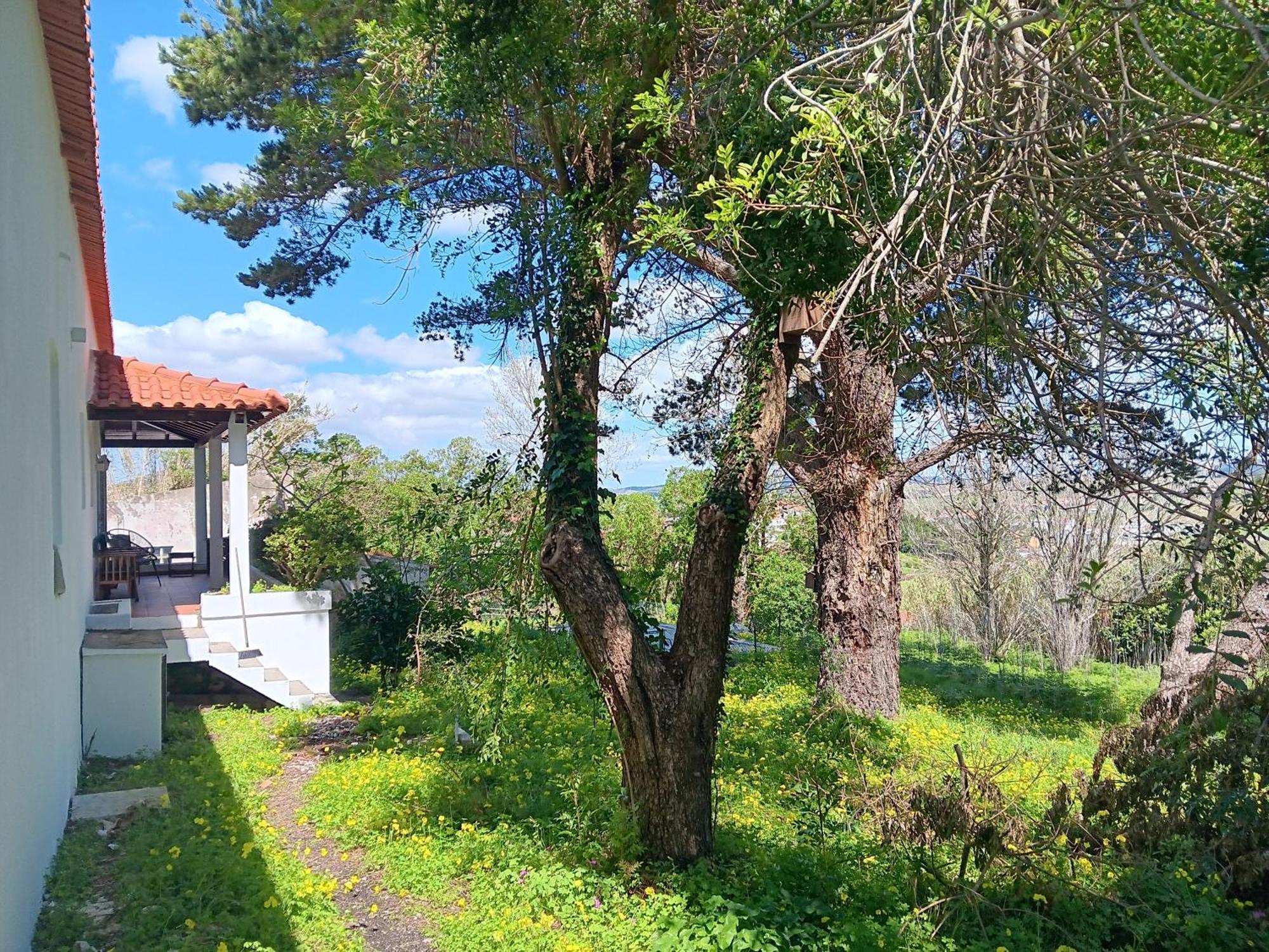 Quintinha A 35Min De Lisboa Villa Mafra Eksteriør bilde